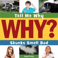 Skunks_Smell_Bad